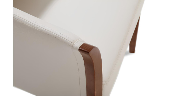 Moderna usnjena sedežna garnitura