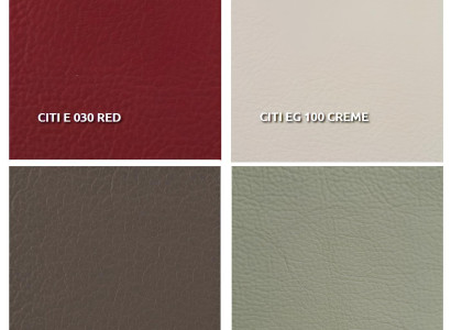 Dizajnerska klop za 2,5 osebe z funkcijo postelje iz 100% nove italijanske usnjene