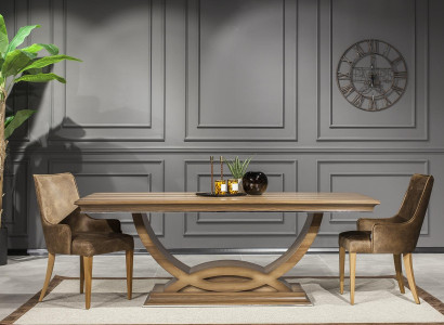 Luksuzna usnjena stolica z rjavim usnjenim vzorcem