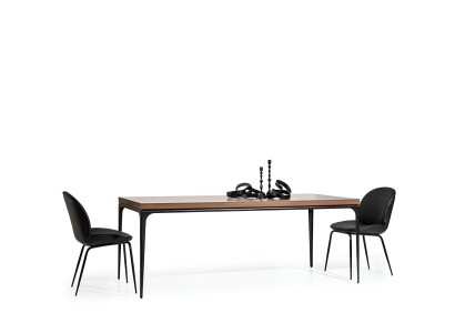 Luksuzna miza s 4 zložljivimi stoli