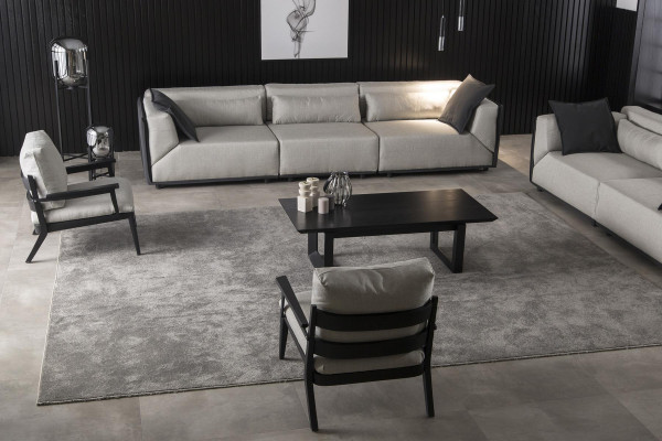 Luksuzna stol s črno strukturo