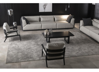 Luksuzna stol s črno strukturo