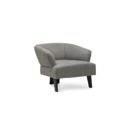 Luksuzna fotelj za dnevno sobo