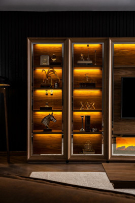 Luksuzna stena za dnevno sobo z ognjiščem in kavnim mizico