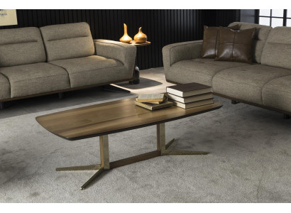 Luksuzna dnevna miza