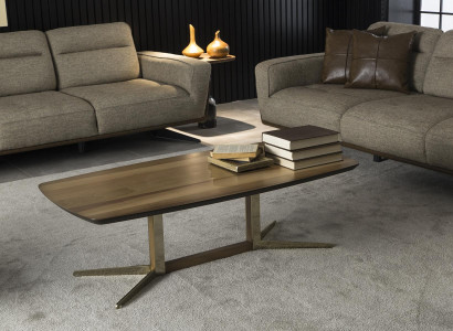 Luksuzna dnevna miza