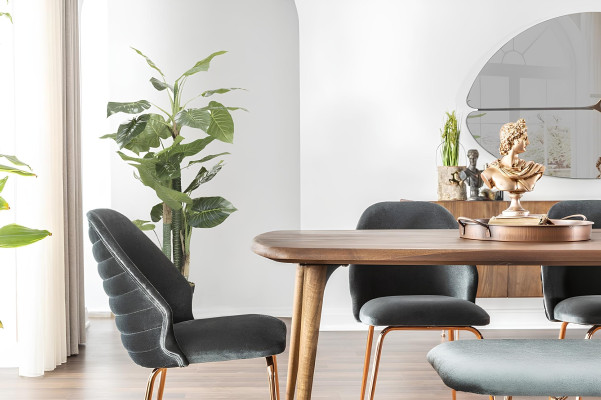 Miza s 8 deli in rjavimi stoli