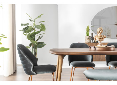 Miza s 8 deli in rjavimi stoli