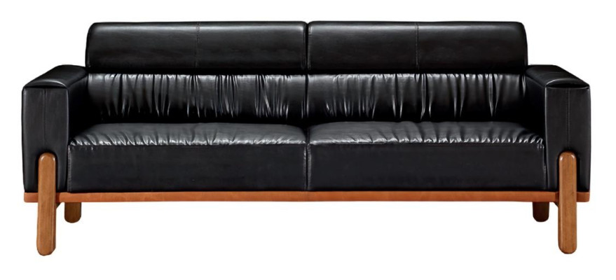 2-sedežni kavč za dnevno sobo z oblazinjenjem odlične estetike eleganten za dve osebi