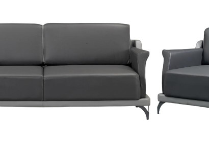 Luksuzni 2-delni komplet pohištva za dnevno sobo oblazinjeno hotelsko pohištvo estetska odličnost eleganca