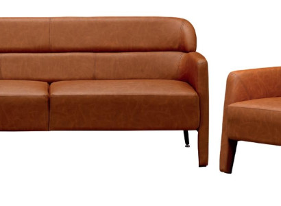 Luksuzni 2-delni naslonjač dvojnika komplet oblazinjenega dnevnega prostora