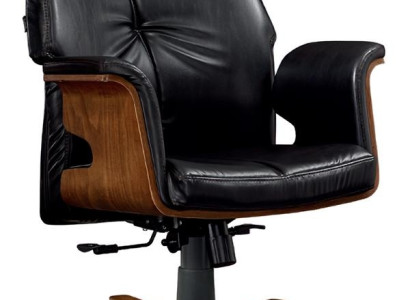 Pisarna stol za direktora