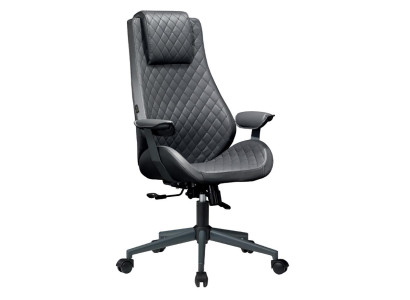 Pisarna stol, vrtljiv stol, izvršni stol, sedežna pohištvo