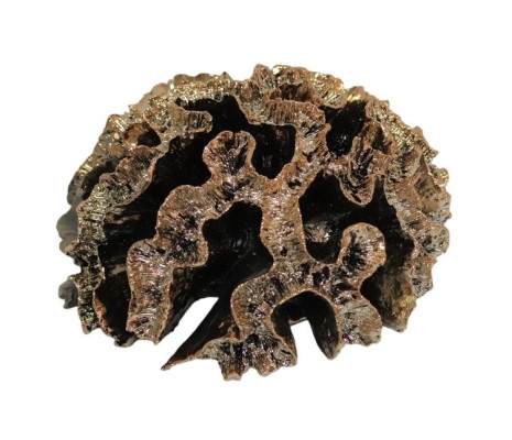 Dekorativna skulptura iz koralov