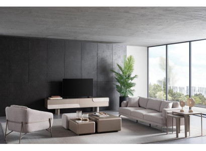 Moderna in elegantna dnevna soba v bež