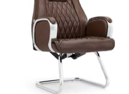 Stuhl Swing Freischwinger Besucherstuhl Konferenzstuhl Bürostuhl