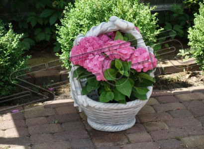 Blumenkübel Pflanz Kübel Dekoration Natur Garten Figur Vasen Blumentöpfe