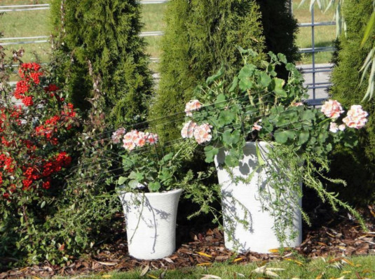 Blumenkübel Pflanz Kübel Dekoration Vasen Garten Figur Blumentöpfe Natur