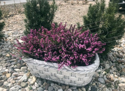 Blumenkübel Pflanz Natur Kübel Dekoration Garten Vasen Blumentöpfe Figur