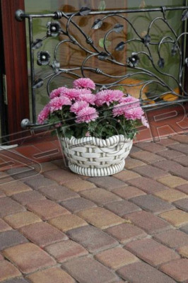 Blumentöpfe Kasten Topf Blumen Töpfe XXL Garten Beton Dekorative Terrasse