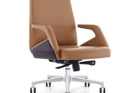 Büro Stuhl Chefsessel Sessel Leder Polster Drehbar Computer Deko Stühle