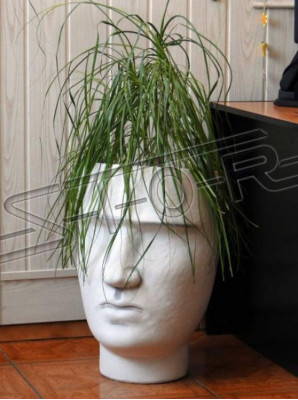 Design Blumentopf Top Planz Kübel Deko Gefäß Figur Töpfe Gesicht Skulptur