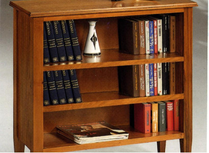 Bücherschrank Vitrine Sammlerschrank Regal Massiv Holz Mäbel Regale Schränke Neu