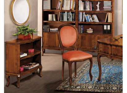 Bücherschrank Schrank Regal Echtholz Möbel Vitrine Büro Einrichtung Möbel Neu