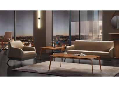 Sessel Lounge Luxus Fernseh Club Polster Sitzer Design Sessel Couch Sofa