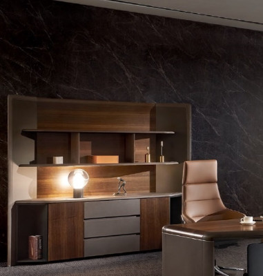 Aktenschrank Regal Schrank Büro Einrichtung Arbeitszimmer Büroschrank