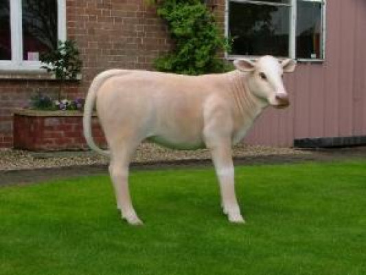 Designer Abstrakte Moderne Figur Dekoration Plastik Deko Garten Skulpturen