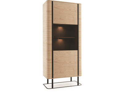 Vitrine Aktenschrank Schrank Vitrinen Büro Wohnzimmer Hochschrank