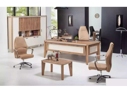 Büromöbel Einrichtung Schreibtisch Aktenschrank Couchtisch Tisch Schrank 3tlg.