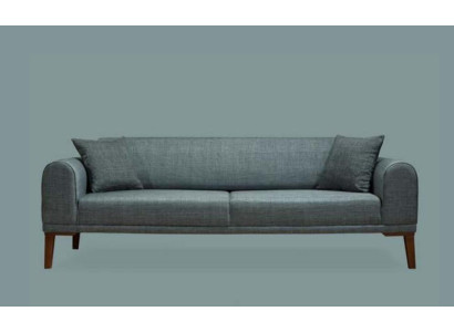 Luxuriös Modern Sofa 3 Sitzer Design sofa Dreisitzer Polster Holz