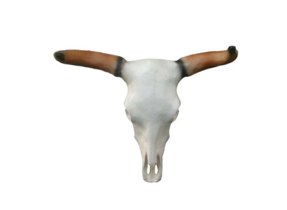 Bullenschädel Stierkopf Wand Skulpturen Höhe 64 cm Deko Figur Wand Dekoration