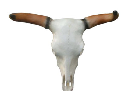 Bullenschädel Stierkopf Wand Skulpturen Höhe 64 cm Deko Figur Wand Dekoration