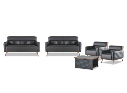 Sofas Arbeitszimmer Set 5tlg Modern Design 2-Sitzer Sessel Couchtisch