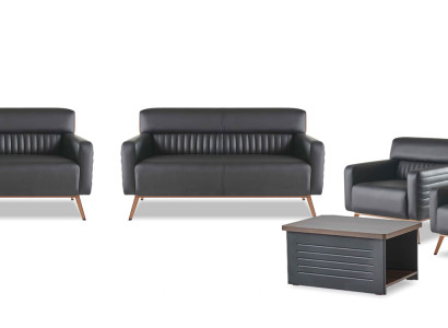 Sofas Arbeitszimmer Set 5tlg Modern Design 2-Sitzer Sessel Couchtisch