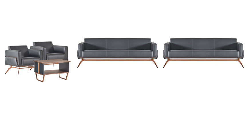 Hellgraue Leder Büromöbel Designer Arbeitszimmer Lehnsessel 3-Sitzer