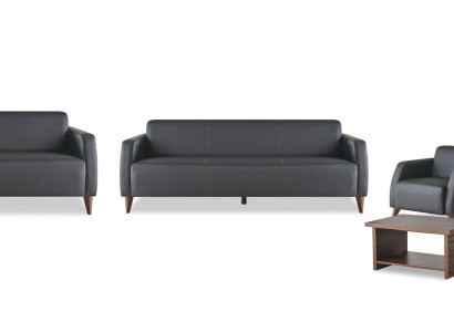 Ledersofas Schwarz 3-Sitzer 2-Sitzer Sessel Braun Couchtisch Couch Weich