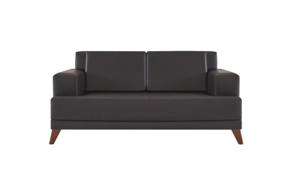 Couch Leder 2-Sitzer Sofa Schwarz Einfarbig Modern Design Ledesofa Holz