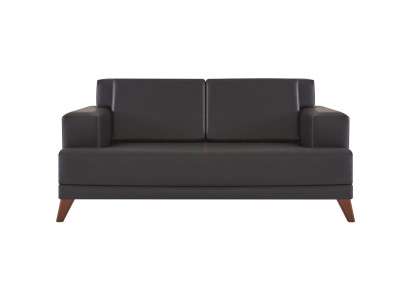 Couch Leder 2-Sitzer Sofa Schwarz Einfarbig Modern Design Ledesofa Holz