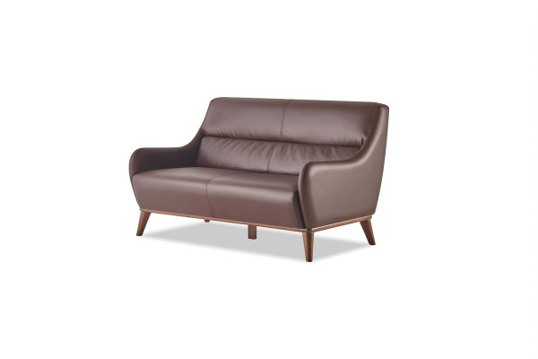Ledersofa 2-Sitzer Sofa Braun Klassisch Leder Holz Weiche Armlehnen