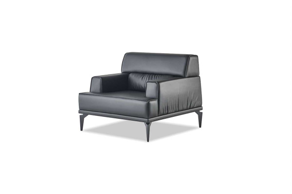 Sitzmöbel Moderner Sofa-Set 2-Sitzer Sessel Schwarz Sofagarnituren Leder