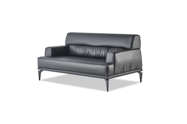 Sofa-Set Komplett Schwarz Sessel 2-Sitzer Ledersofas Modern Sitzmöbel
