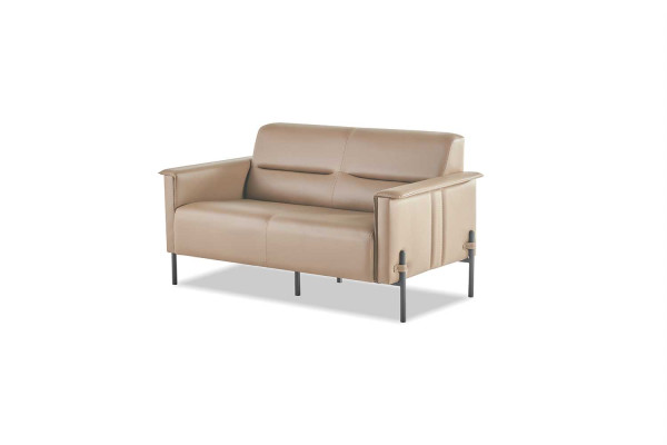 Couch Beige 2-Sitzer Sofa Modern Ledersofa Sitzmöbel Zweisitzig Leder