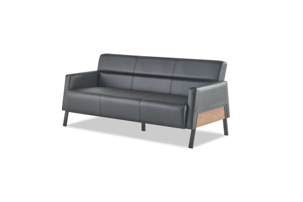 Ledesofa Sofa Schwarz 3-Sitzer Dreisitzig Leder Modern Holz Edelstahl