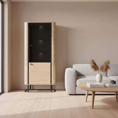 Vitrine Aktenschrank Schrank Vitrinen Büro Hochschrank Wohnzimmer Regal
