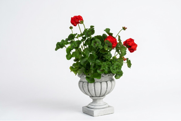 Design Blumentopf Top Planz Dekorative Kübel Gefäß Töpfe Figur Gesicht