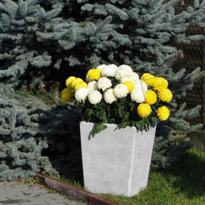 Blumenkübel Pflanz Kübel Dekoration Vasen Garten Figur Natur Blumentöpfe